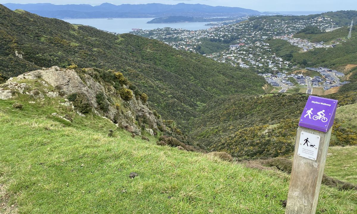 Full Wellington Skyline Trail , Wellington