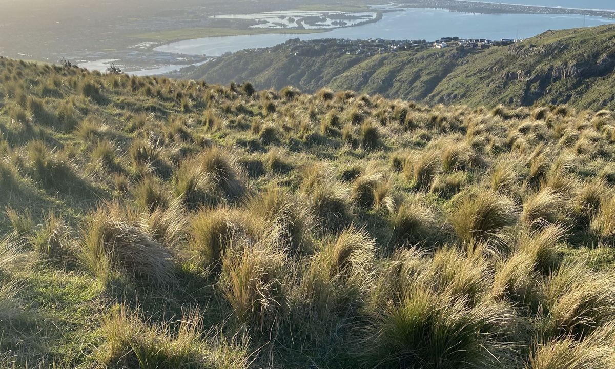 Christchurch 360 Trail - Sugarloaf Hills Section, Canterbury