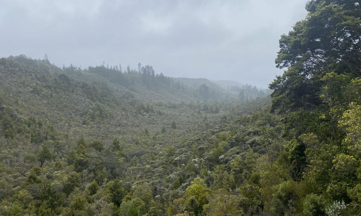 The Argyle, West Coast