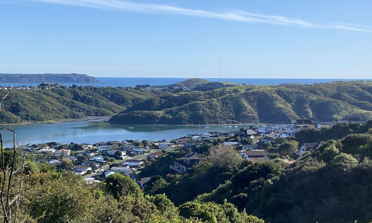 Don't rush to a Conclusion, Wellington