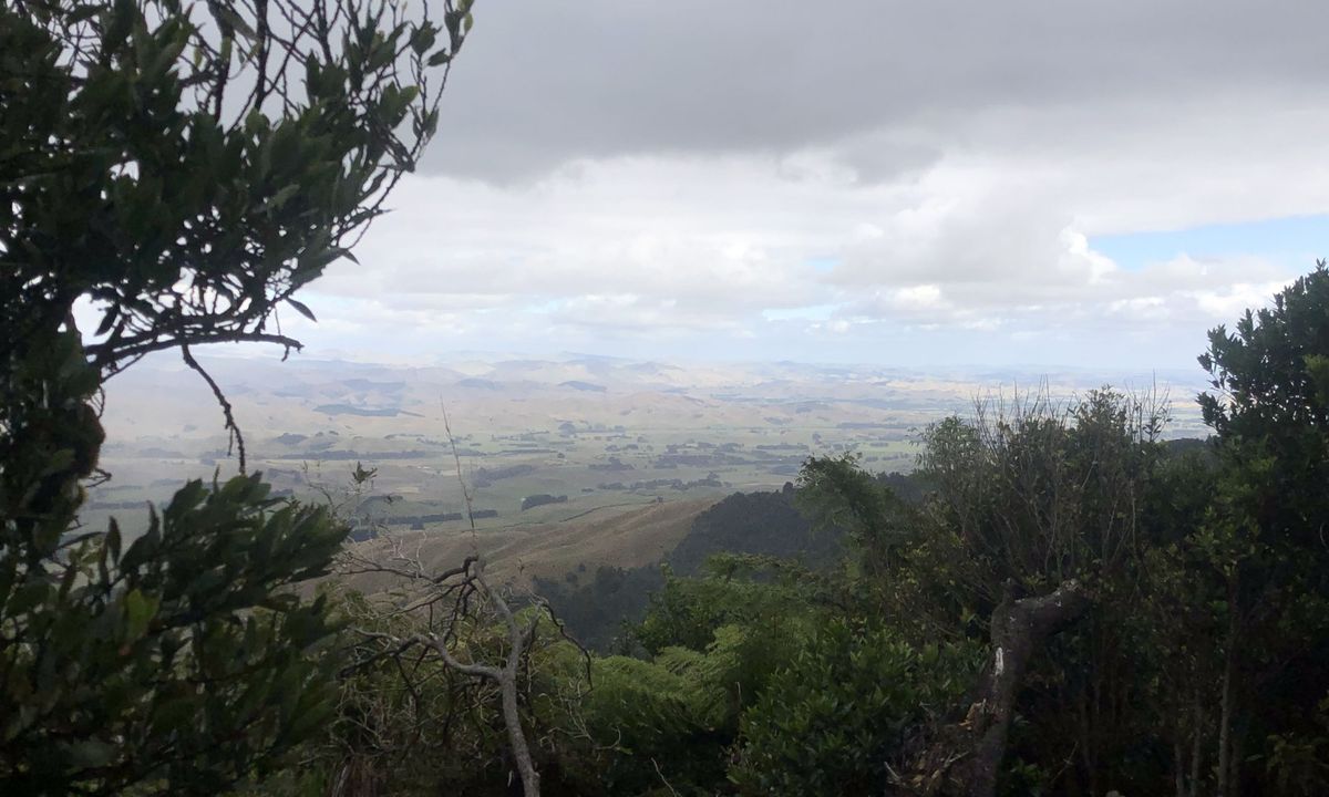 Coppermine Loop & Mine, Manawatu - Wanganui