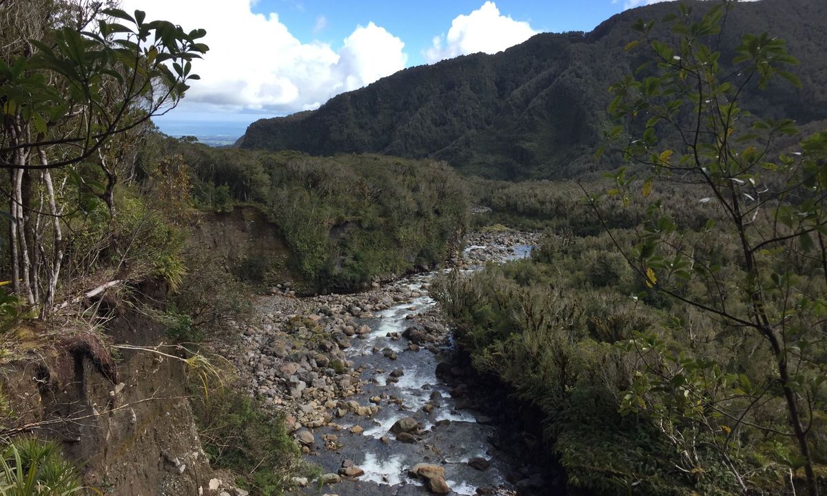 Up The Stony, Taranaki
