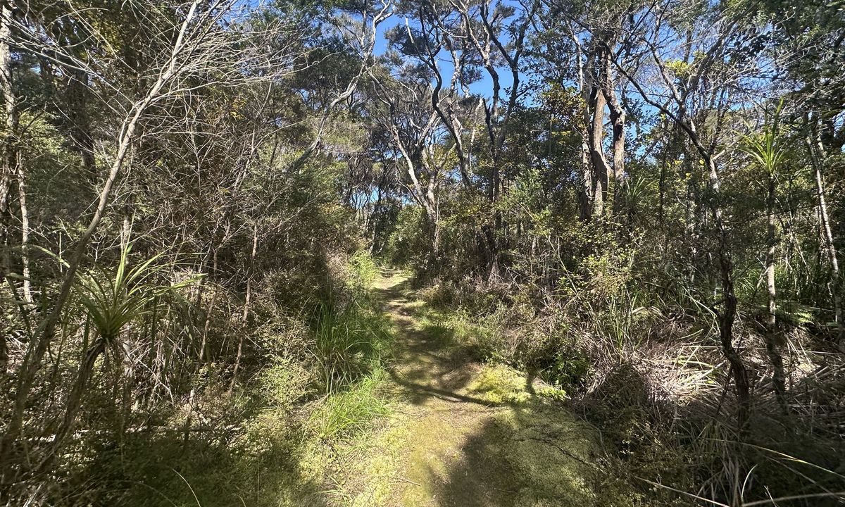 Whangaruru North Head Loop, Northland