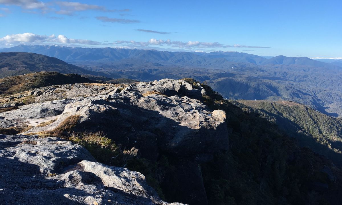 Mt William Loop, West Coast