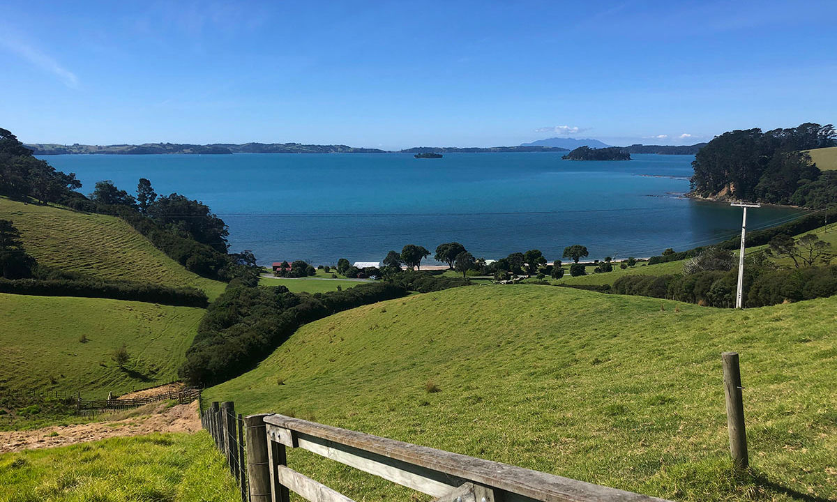 All the Trails at Scandrett, Auckland