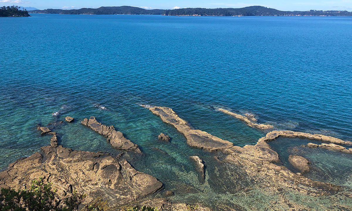 All the Trails at Scandrett, Auckland