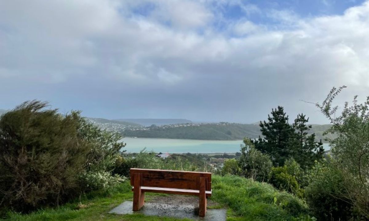 Don't rush to a Conclusion, Wellington