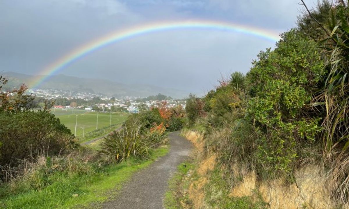 Don't rush to a Conclusion, Wellington