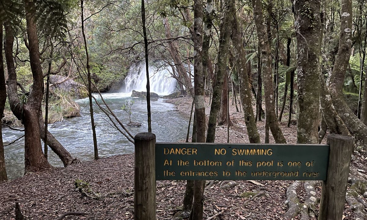 Eastern Okataina Walkway to Tarawera Falls, Bay of Plenty
