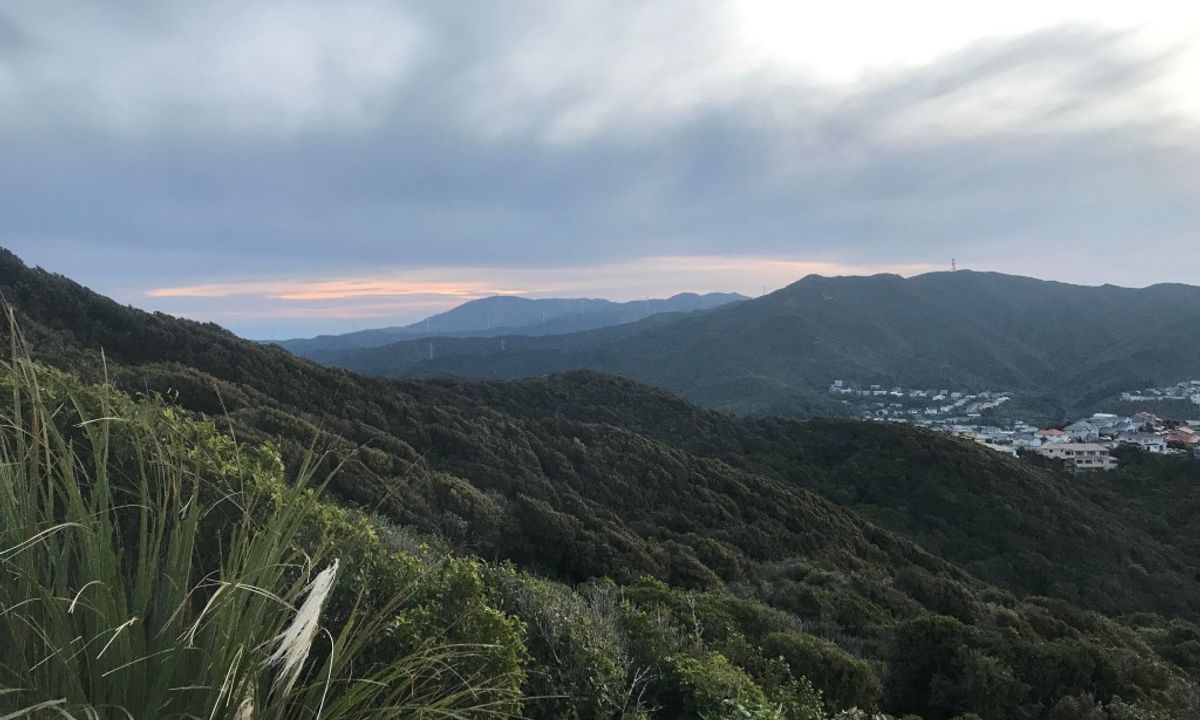 Biblical, Wellington