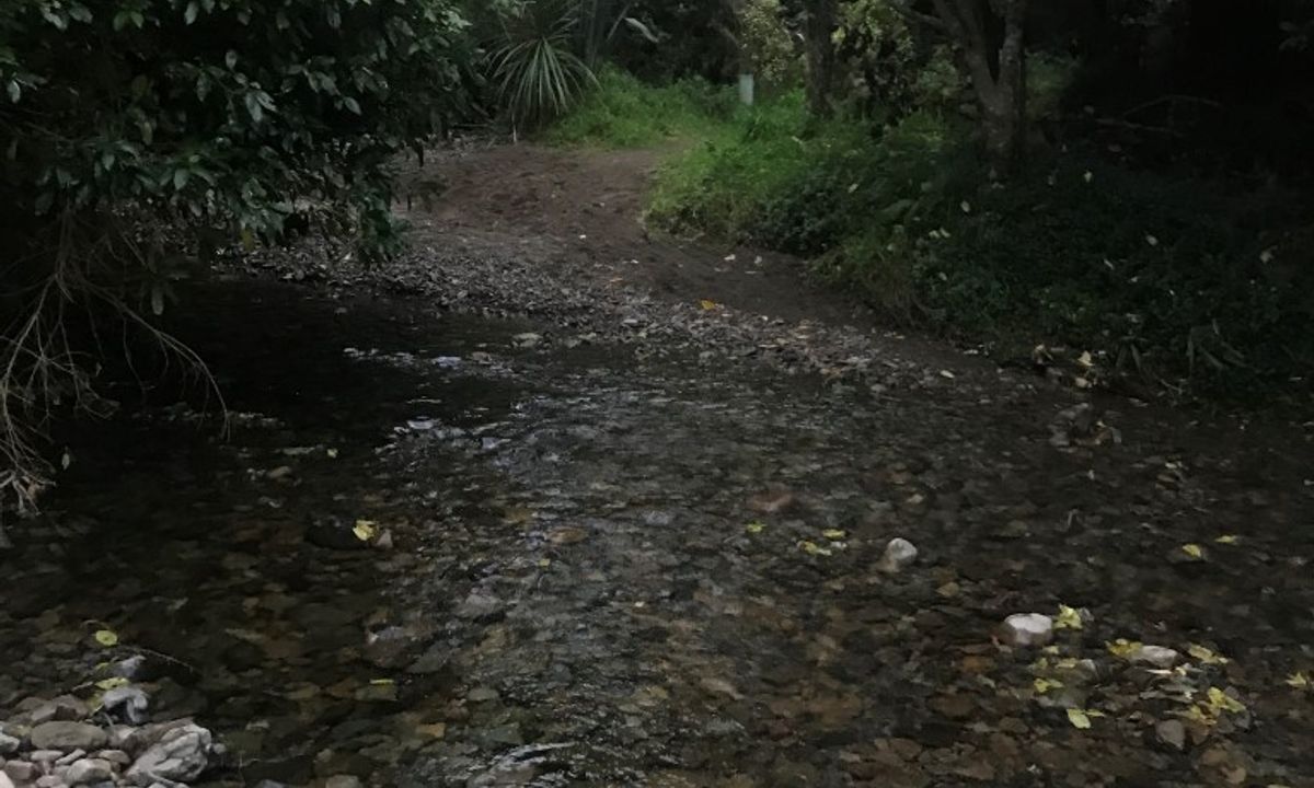 Swing Into Action, Wellington