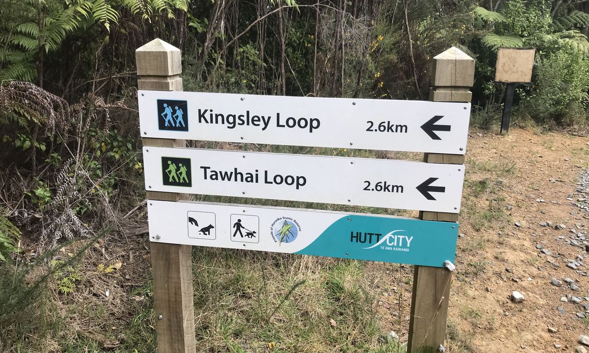 Tawhai Loop, Wellington