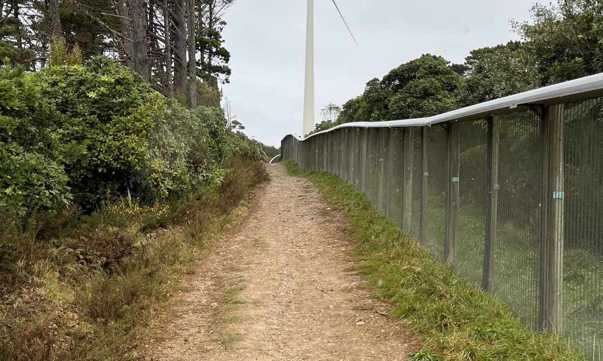 Sanctuary Fenceline, Wellington