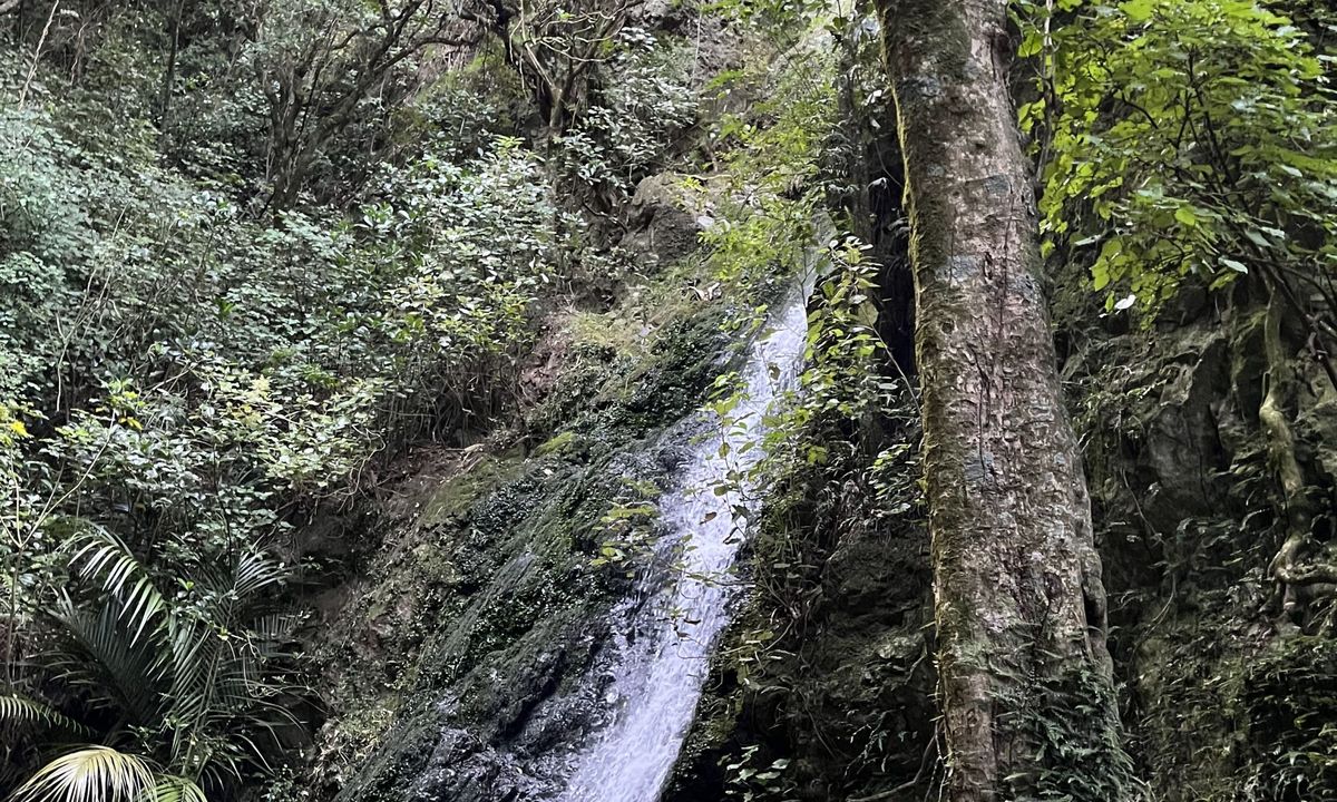 Sugarloaf and Waterfalls Loop, Wellington