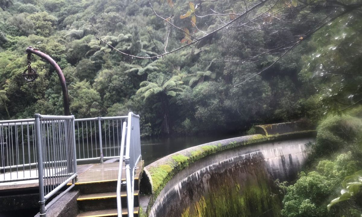 Birchville Dam Loop, Wellington