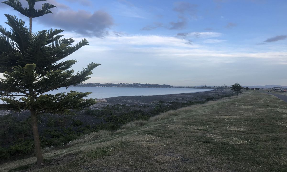 Westshore Flattie, Hawkes Bay