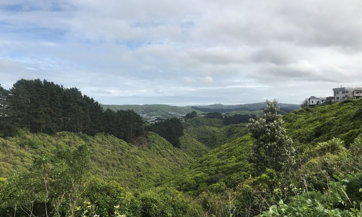 Seton Nossiter Waterfall & Lookout, Wellington