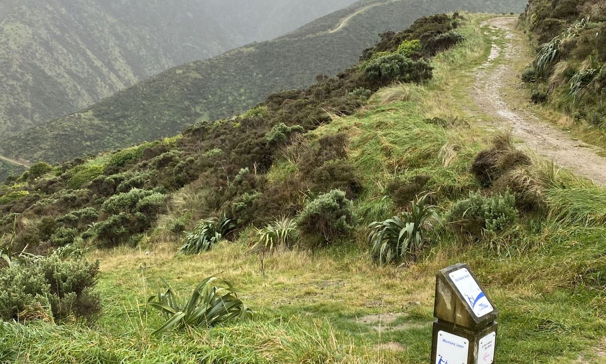 Red-Rocks, Hawkins Hill, Tip-Track Loop, Wellington