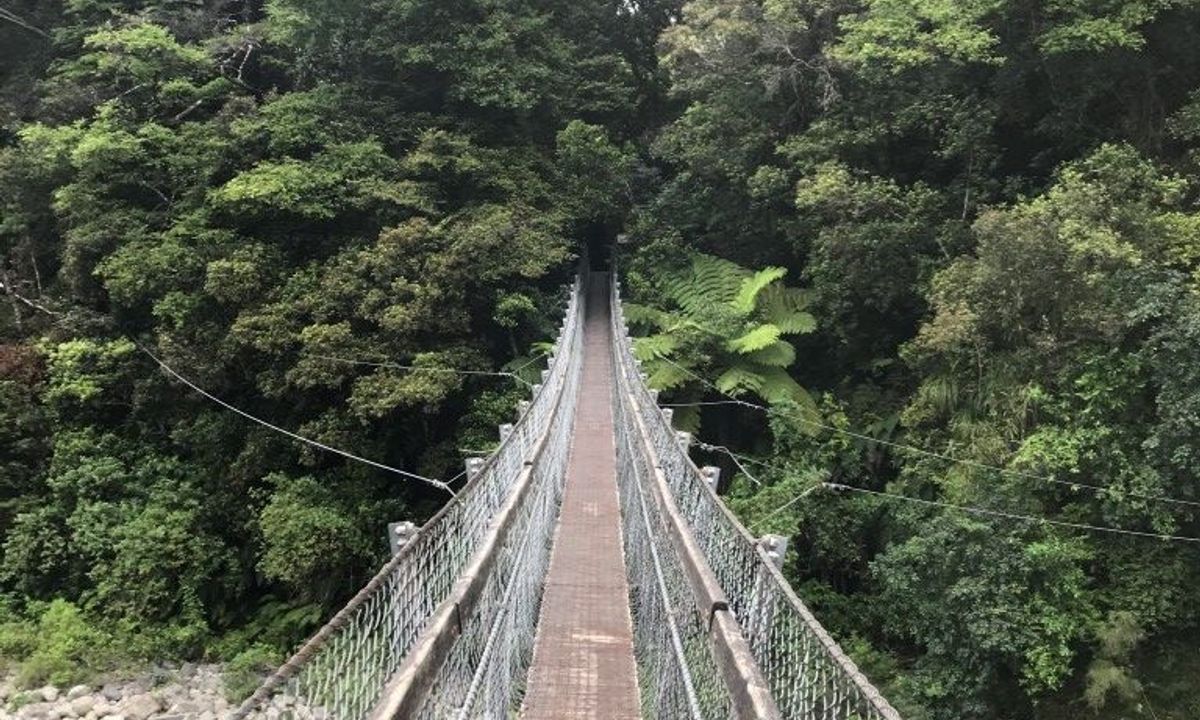 Norbett Creek Loop, Wellington