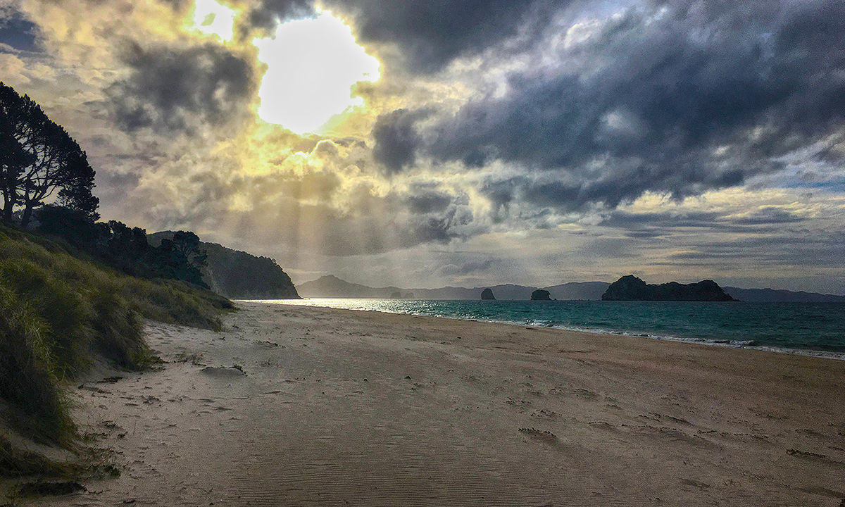 Cathedral Cove in Hahei