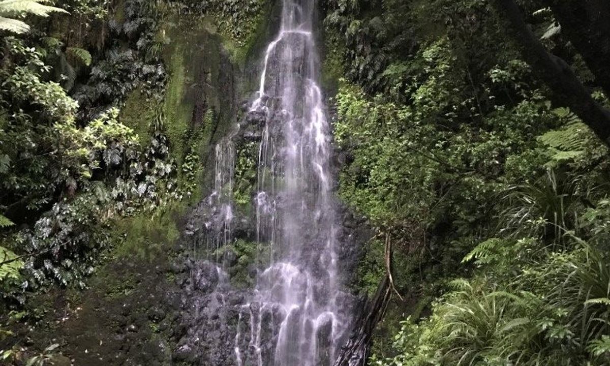 Mangakotukutuku Falls, Taranaki