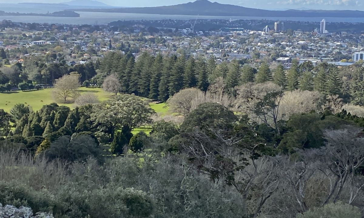 Maungakiekie Loop with a Cherry on Top, Auckland