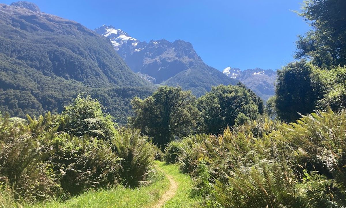 The Hollyford: Out and Back to Alabaster, Southland