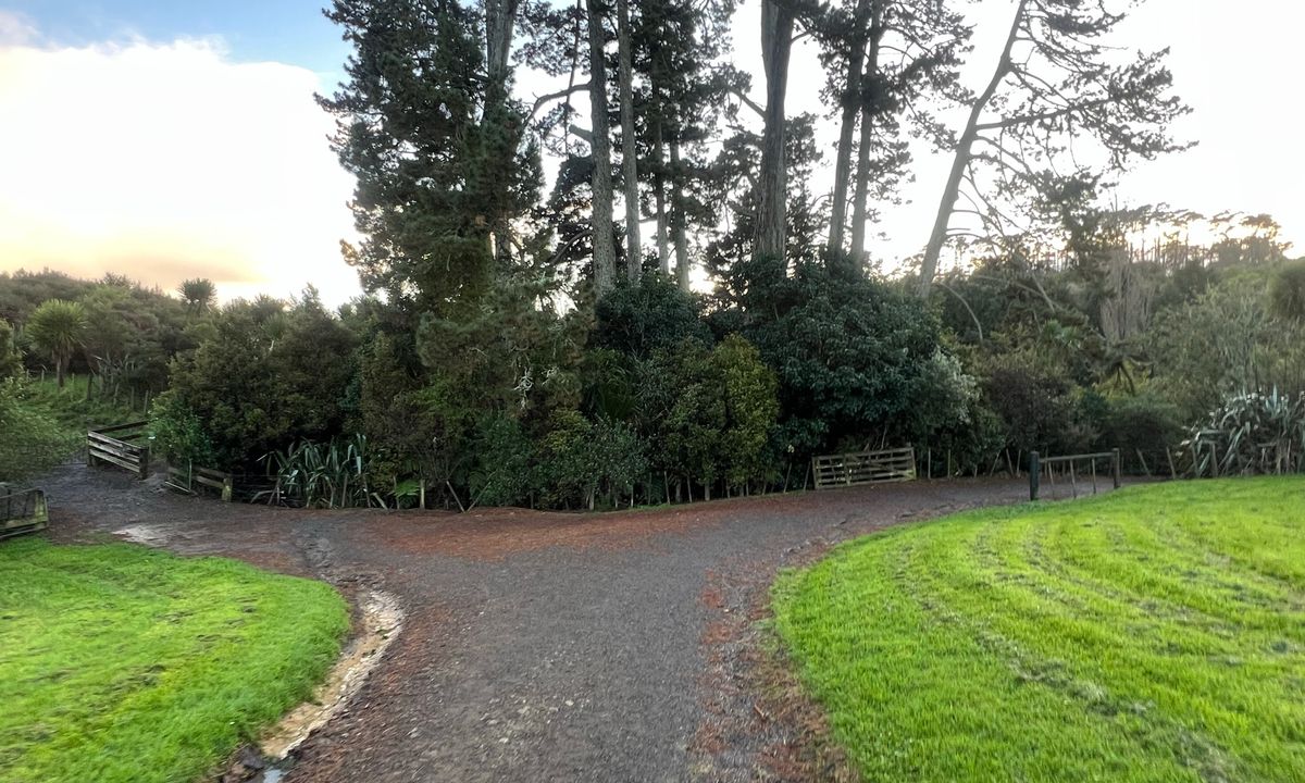 Totara Park Track, Auckland