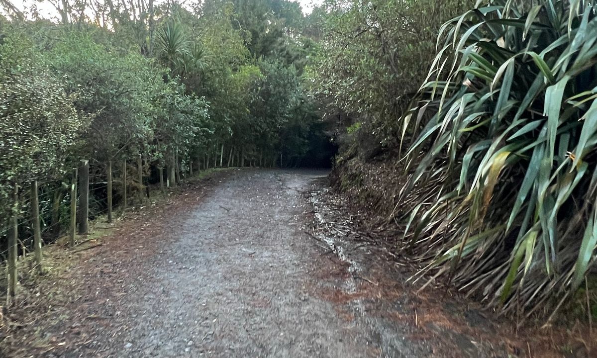 Totara Park Track, Auckland