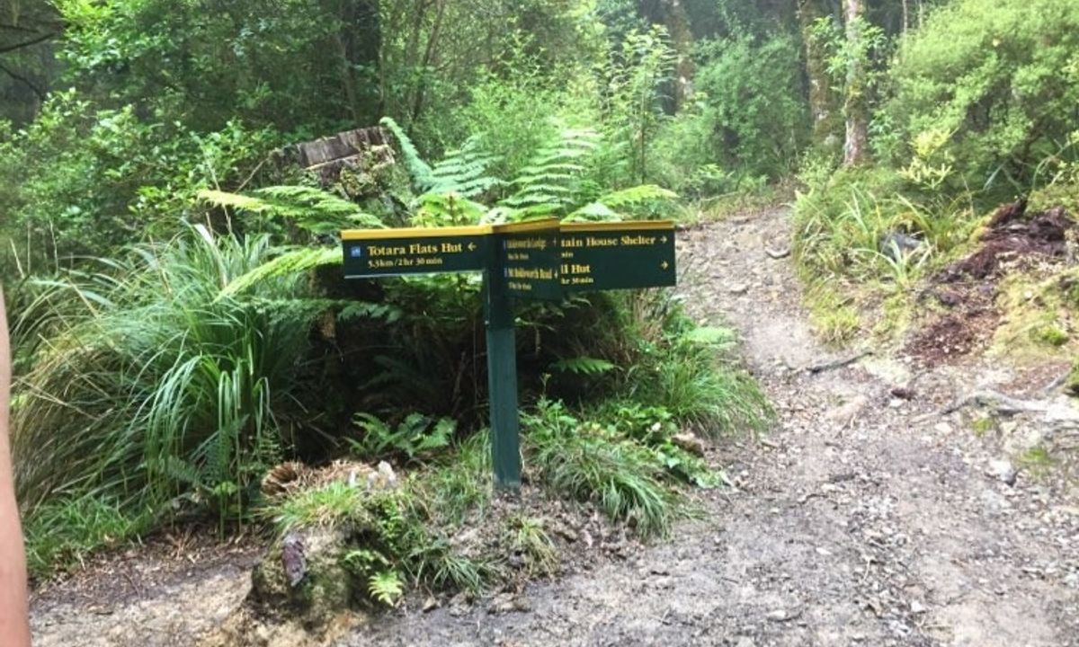 Holdsworth Lodge to Totara Flats Hut and return, Wellington