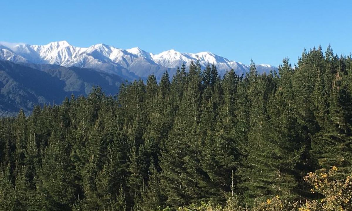 Muhunoa Loop Lung Buster , Manawatu - Wanganui