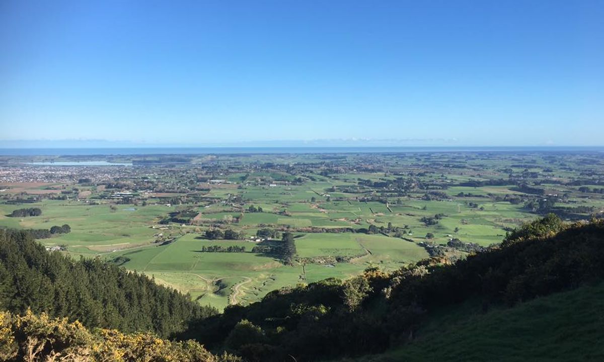 Muhunoa Loop Lung Buster , Manawatu - Wanganui