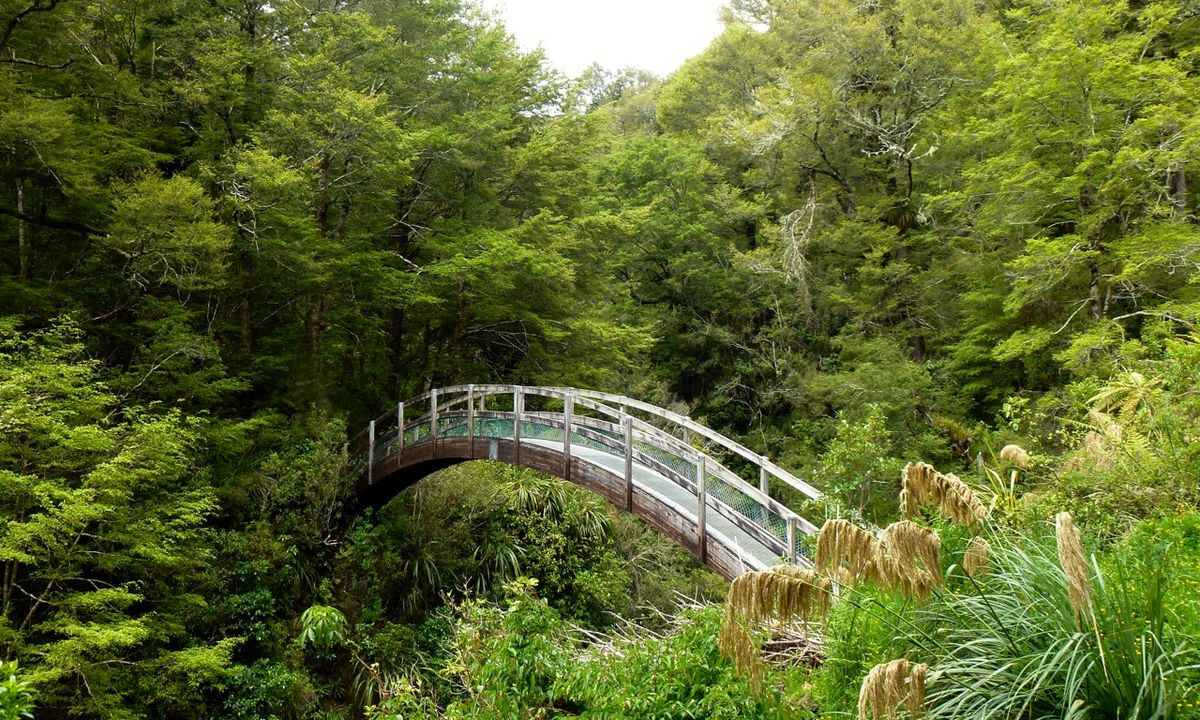 Ngamoko Range Traverse, Manawatu - Wanganui