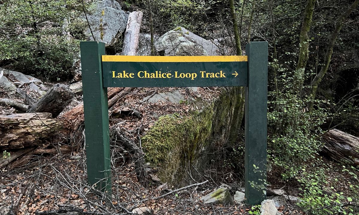 Lake Chalice loop, Marlborough