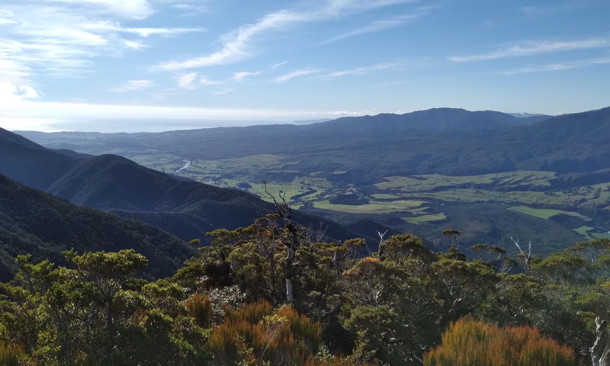 The Extra Five Metres, Tasman