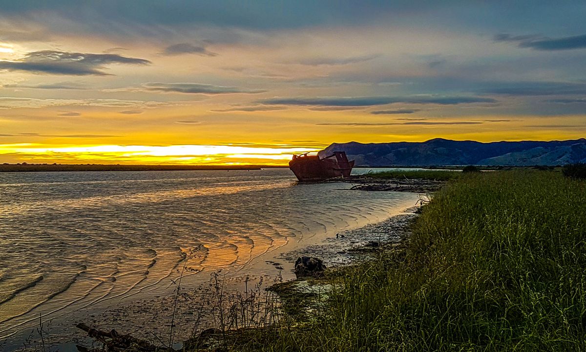 Wairau Lagoons Loop, Marlborough