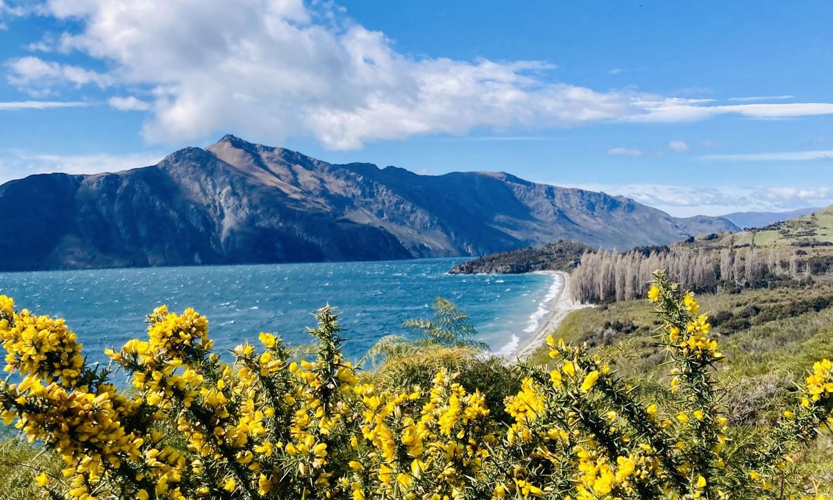 Minaret Burn Track (short), Otago
