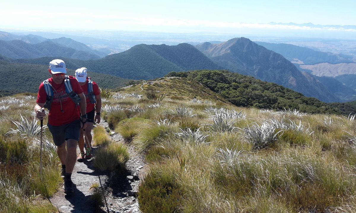 Mt Arthur Up & Back, Tasman