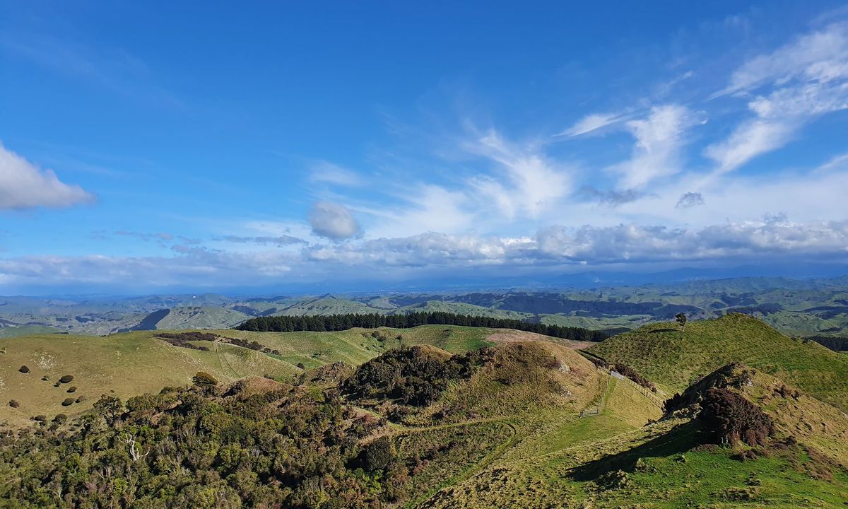 Mt Clyde, Manawatu - Wanganui