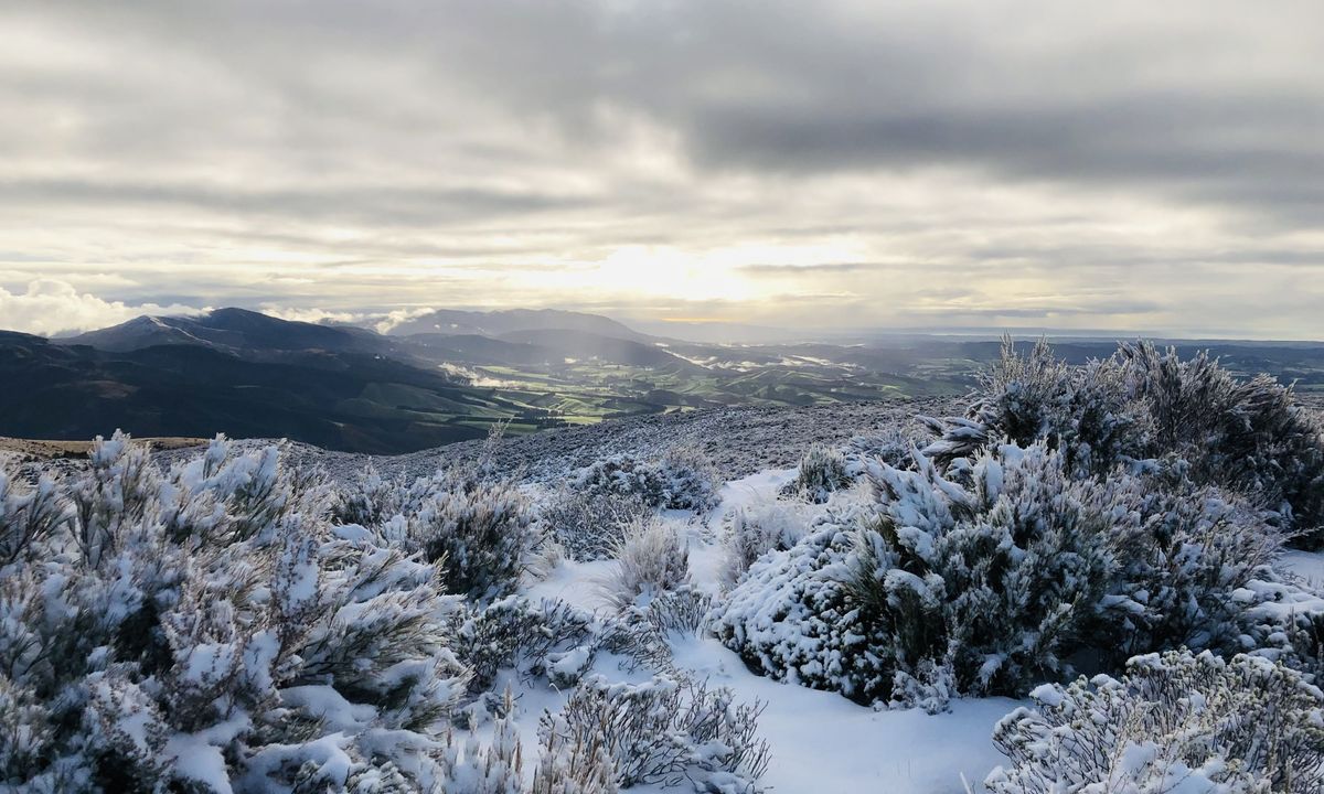 Mount Thomas, Canterbury Trail & Peak Directory Wild Things