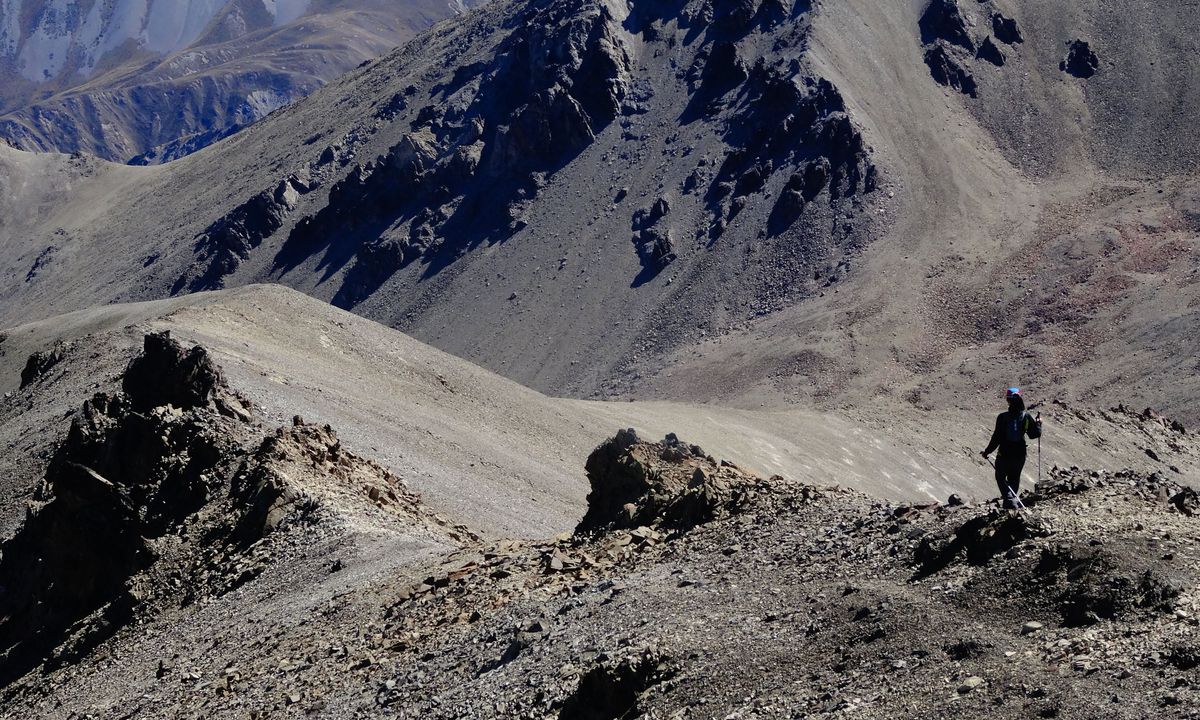 Mt. Taylor Dual, Canterbury