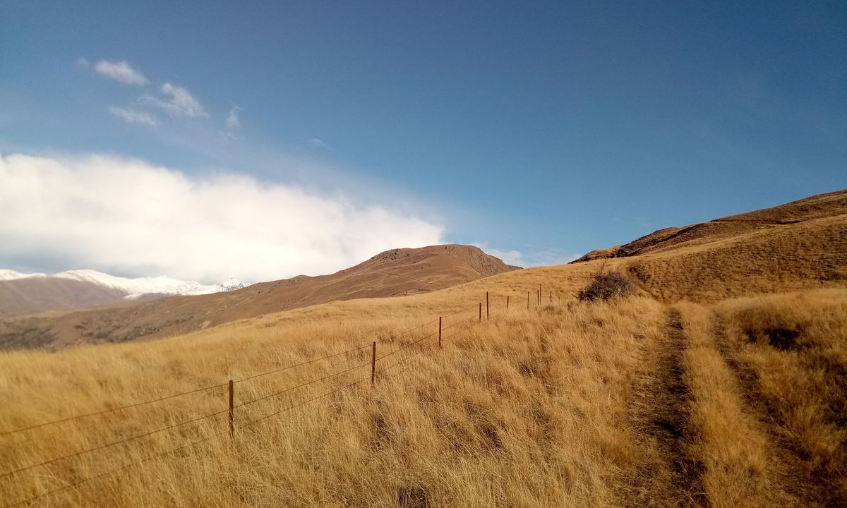 Mt Rosa Loop, Otago