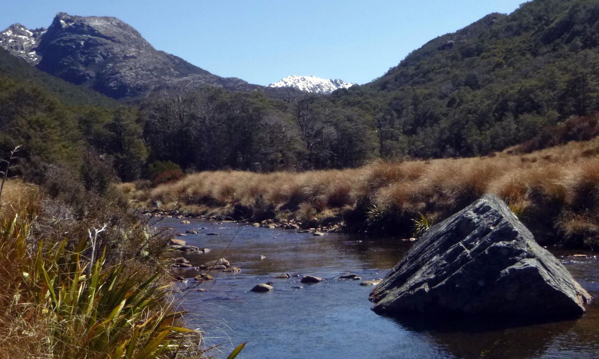 Fenella Hut , Tasman