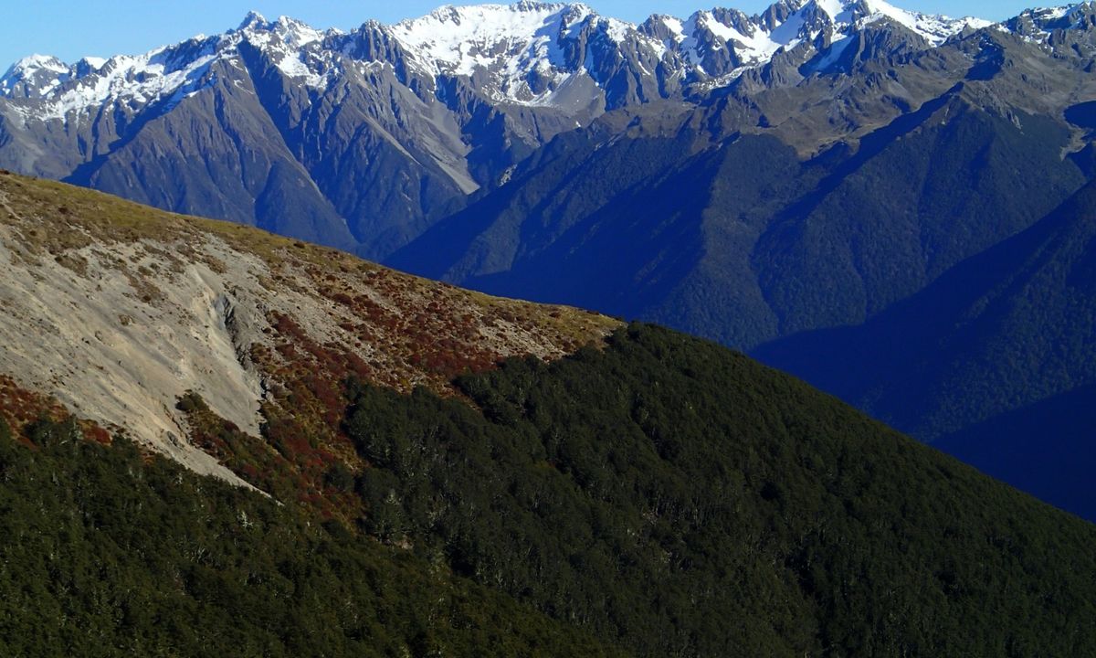 Parachute Rocks and St Arnaud Ridge, Tasman