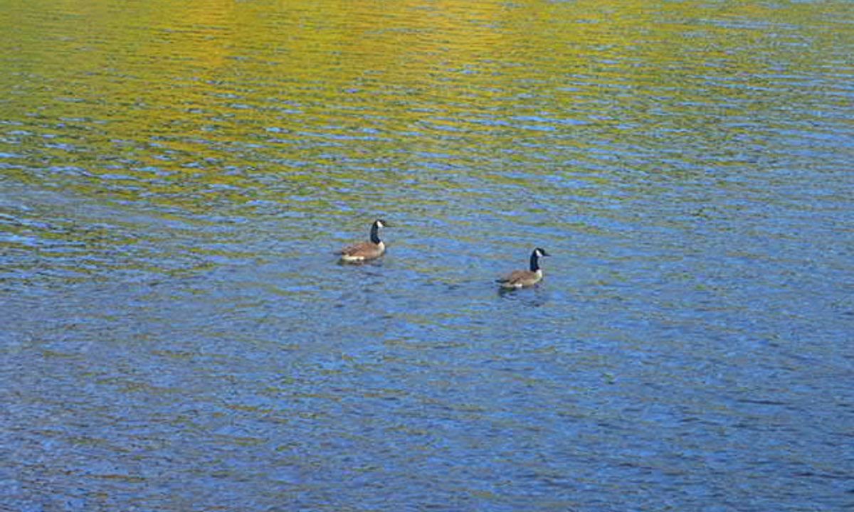 Lake Mangamahoe, Taranaki