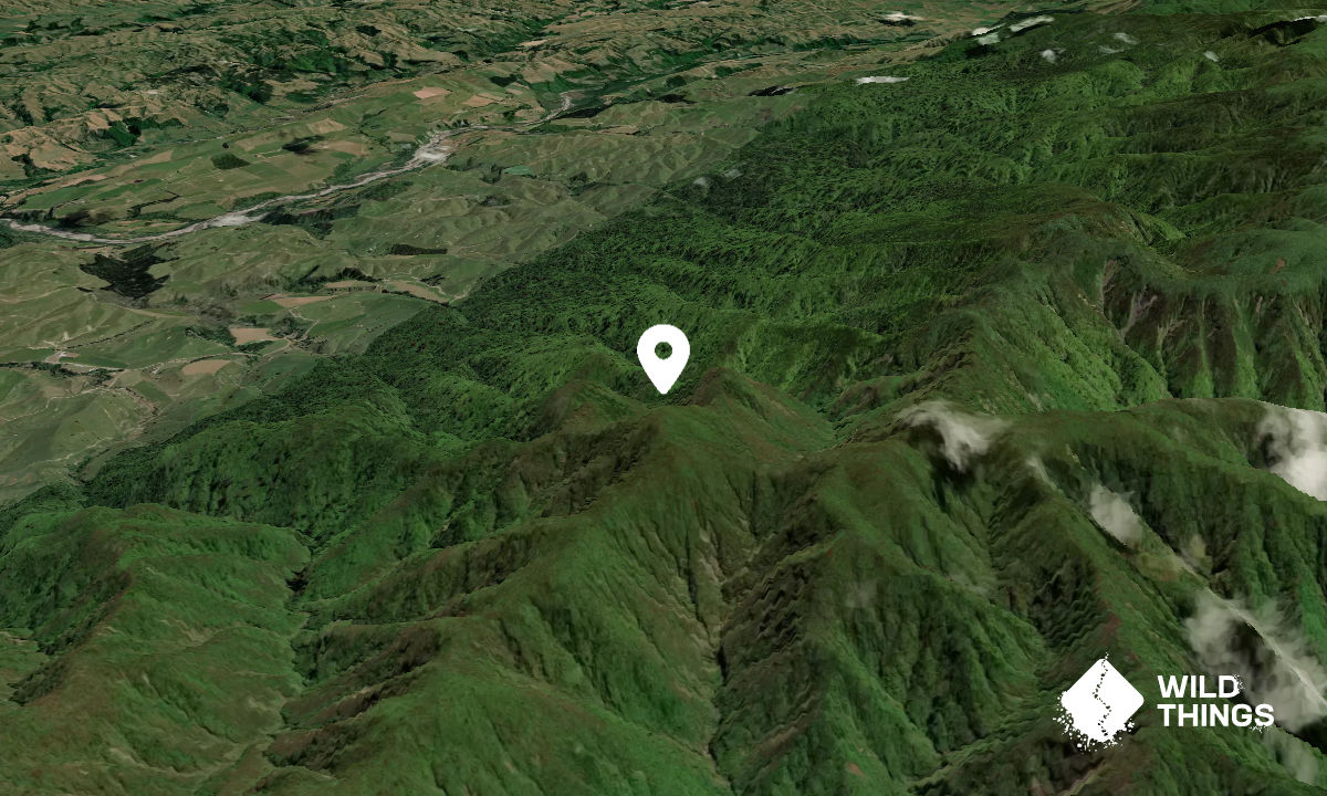 Maharahara