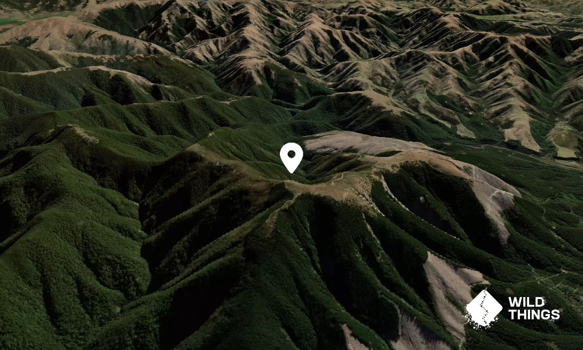 Mount Thomas, Canterbury Trail & Peak Directory Wild Things