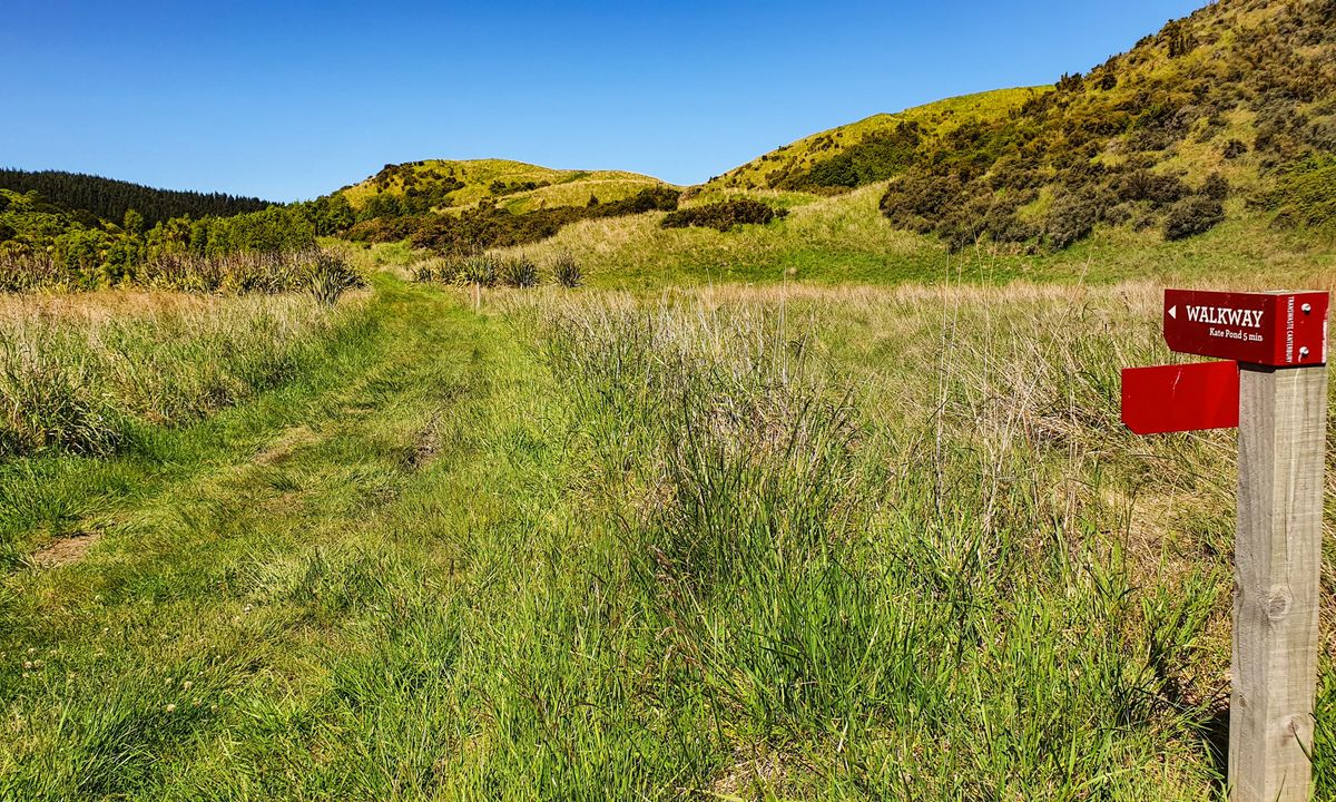 Tiromoana Track, Canterbury