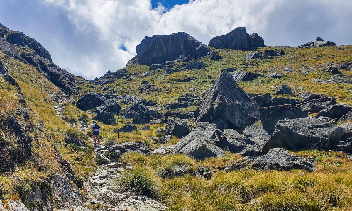 Routeburn: Divide to Conical Hill , Southland