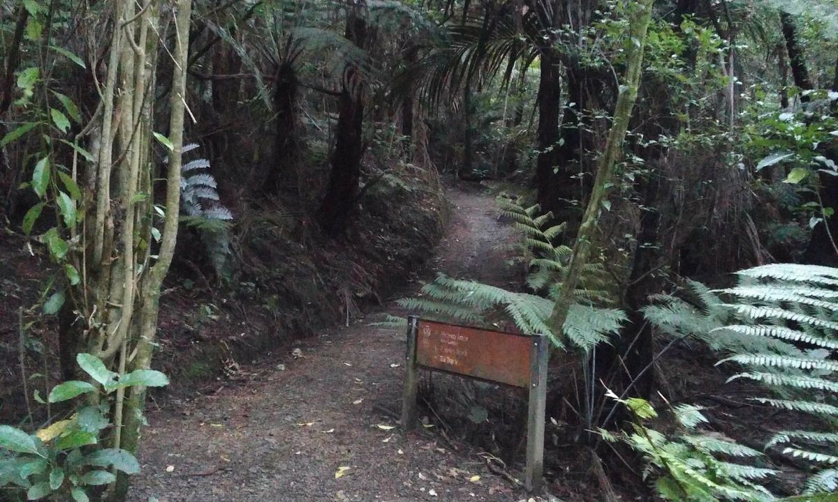 Puke Ariki (Point View Reserve), Auckland
